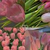 preety_bell2