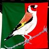 dadiakram656