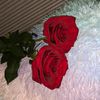 503flores09