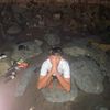 dhndrdi