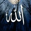 zaenab17777777