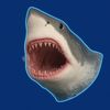 mastershark19