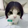 skibidi_ran5