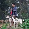nandha.satria