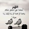 user8206982222500