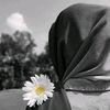 kashmiri.874