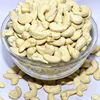cashew780