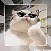 ucup_931