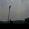 nk_rahan