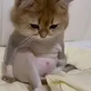 minh.qun615