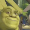 not_tamzie