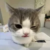 khoa_thu_gian11