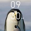 souft05