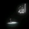 user95478315875146