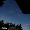 dhani.997