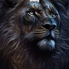 ibrahim.mahmoud347