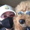 chatarokun8