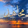 mujahidislam422_