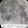 user5305158750877