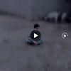 umar.kmbarkhil
