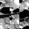 joycutieeec