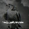 user9403746599137