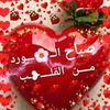 wael.mhdi