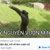 dinh.huy3559