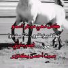 خواطر من القلب