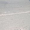 eliezerss777
