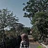 indahpratiwi3613