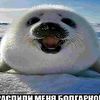 pity_mochu1452