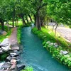 دختر بازی بچه بازی
