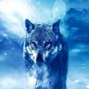 ahmed.hassan2519