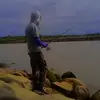 _c70_rimba_7