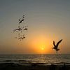 mariam47636