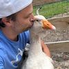 goosebump_trails