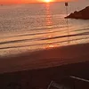 giovanna.d.amore4