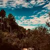 malhiking10