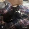 lily.chou.chou_lover1