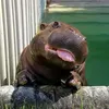 hippo36440