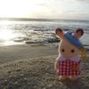 yourlocalrat31