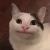 muuuuuhwuuuuuh
