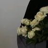 hfjvn25