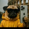user6162038692063