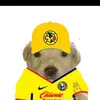 liamgonzales8303938483