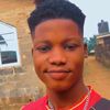 nocaseofficial01