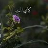 user8155488461260