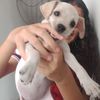 andreaxx.33