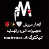 mairmsr..6